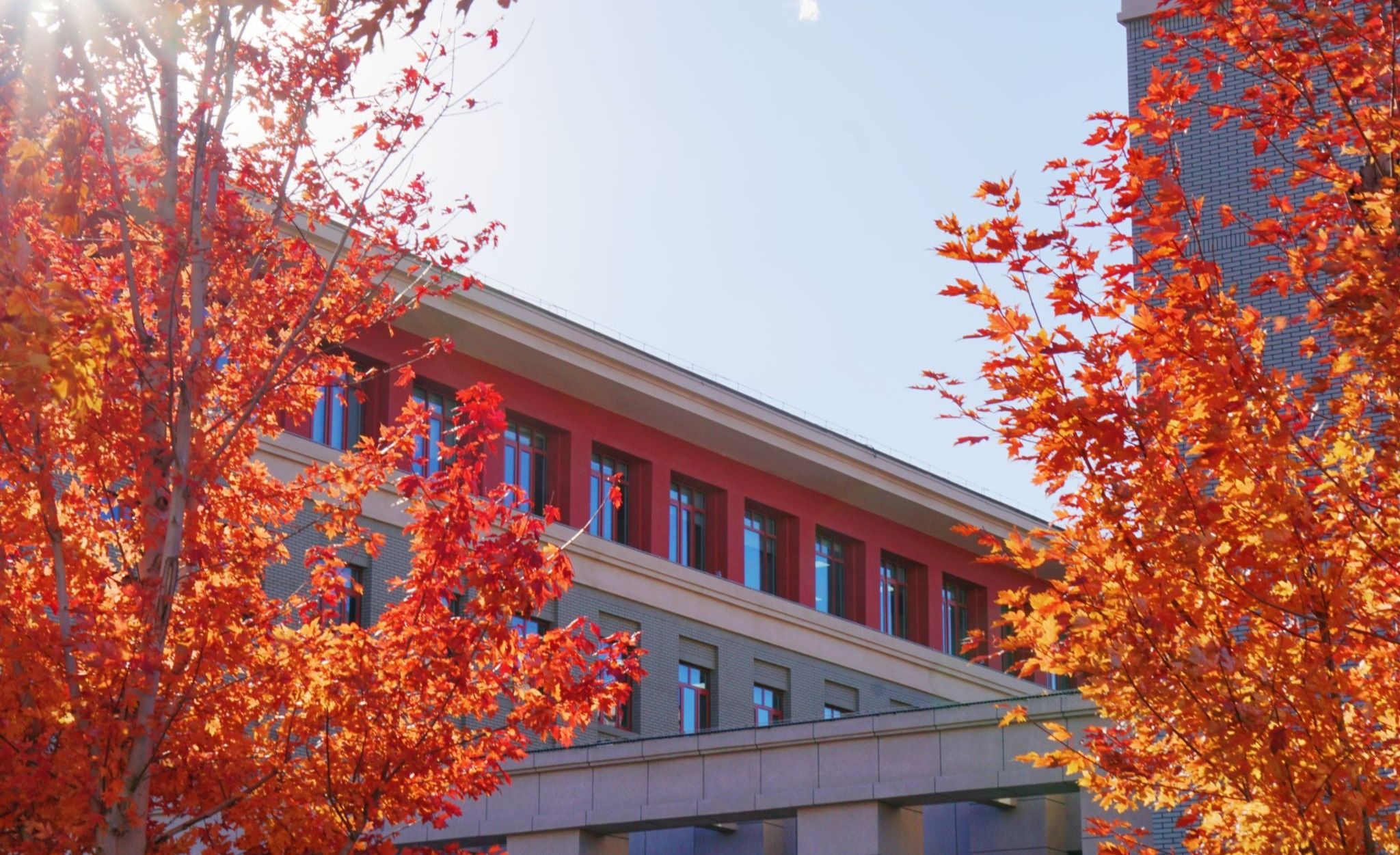 2025年北京市大学生人文知识竞赛团队赛决赛在我校举办